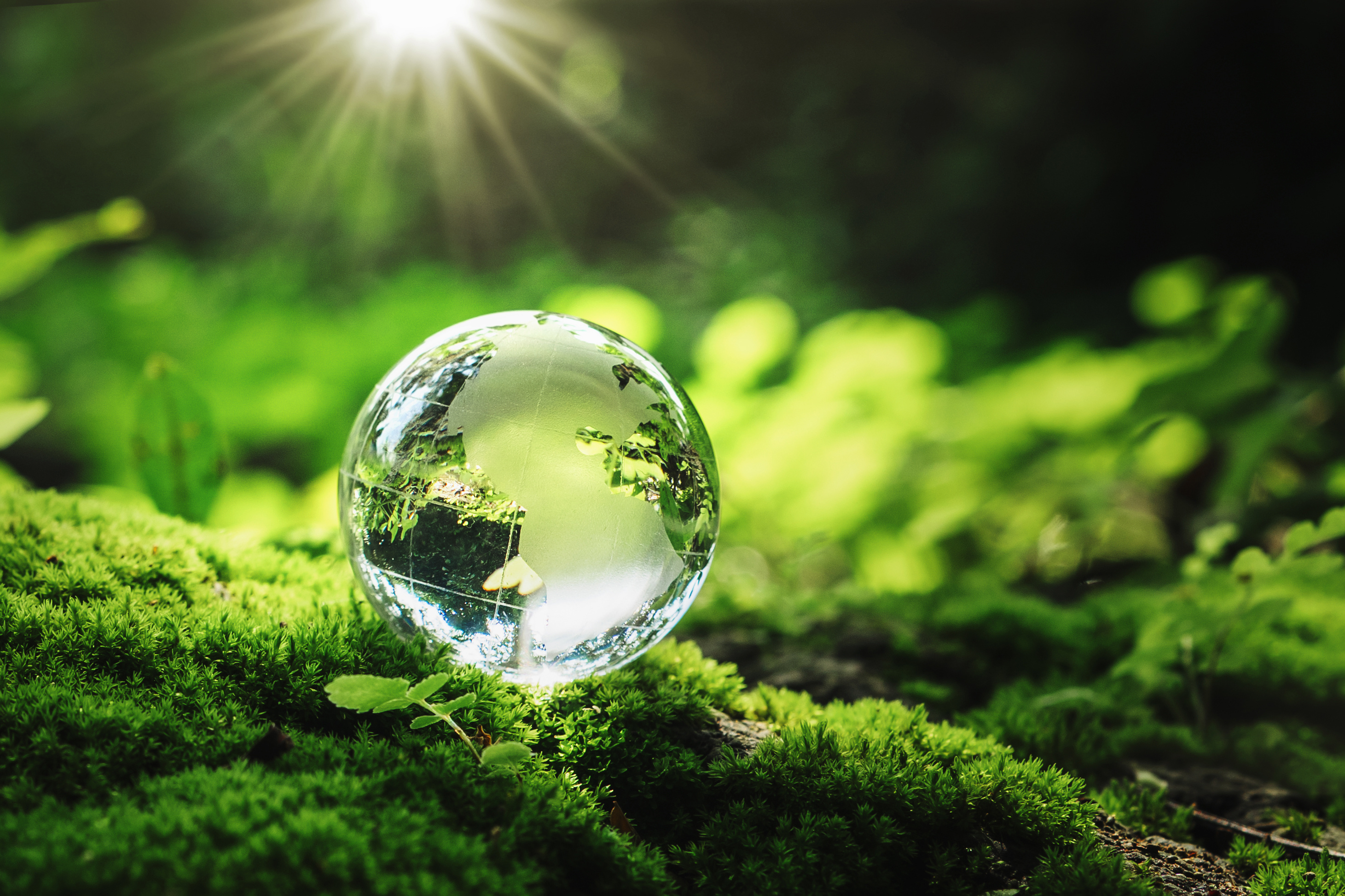 Higher Education as an Empowerment Ecosystem